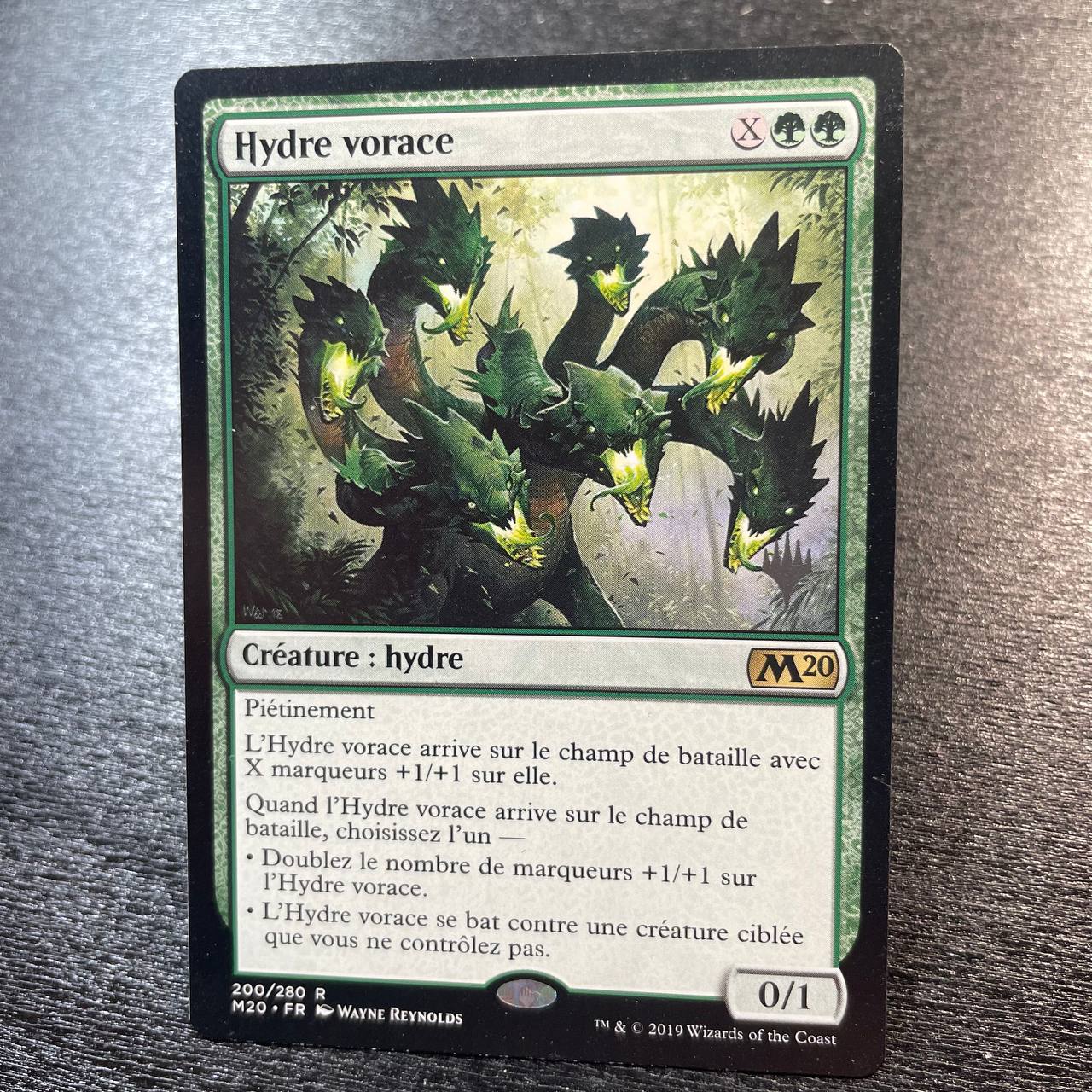 Voracious Hydra (pr-p) (fr)