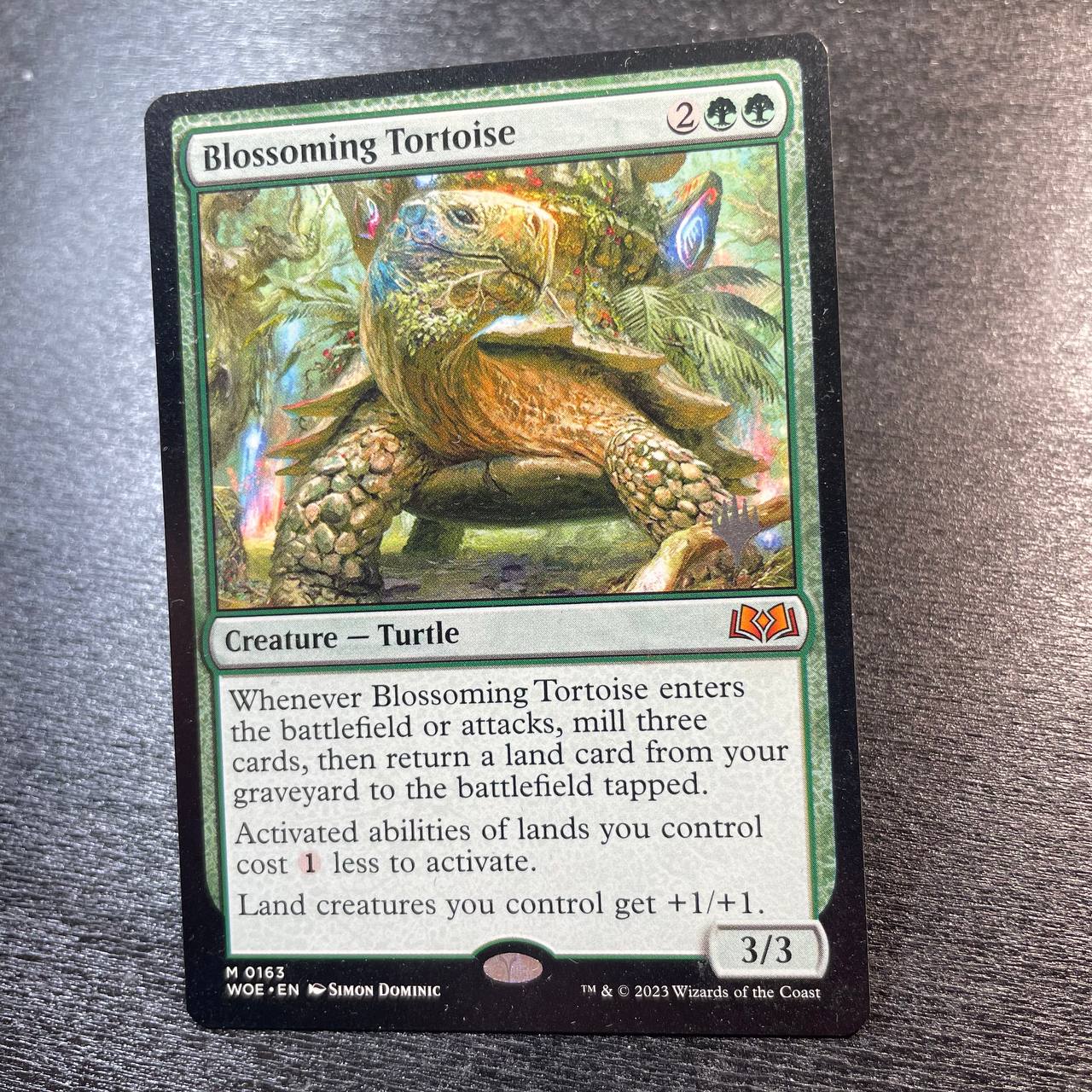 Blossoming Tortoise (pr-p)