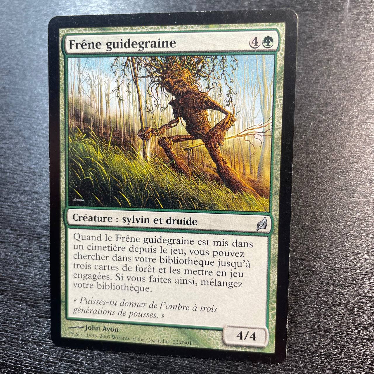 Seedguide Ash (fr)