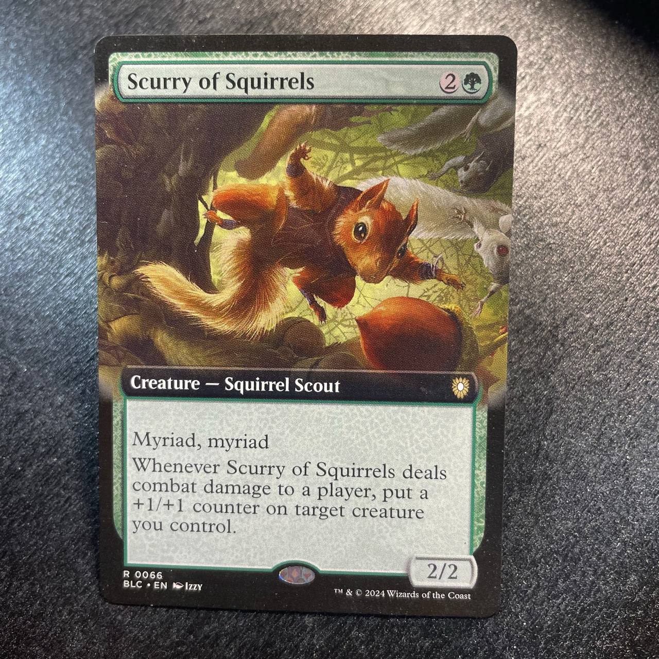 Scurry of Squirrels (extended)