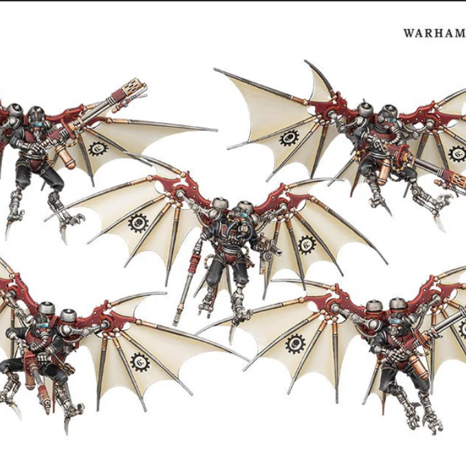 Pteraxii