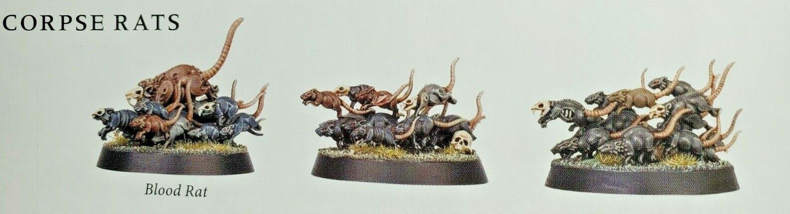 6 Corpse Rats